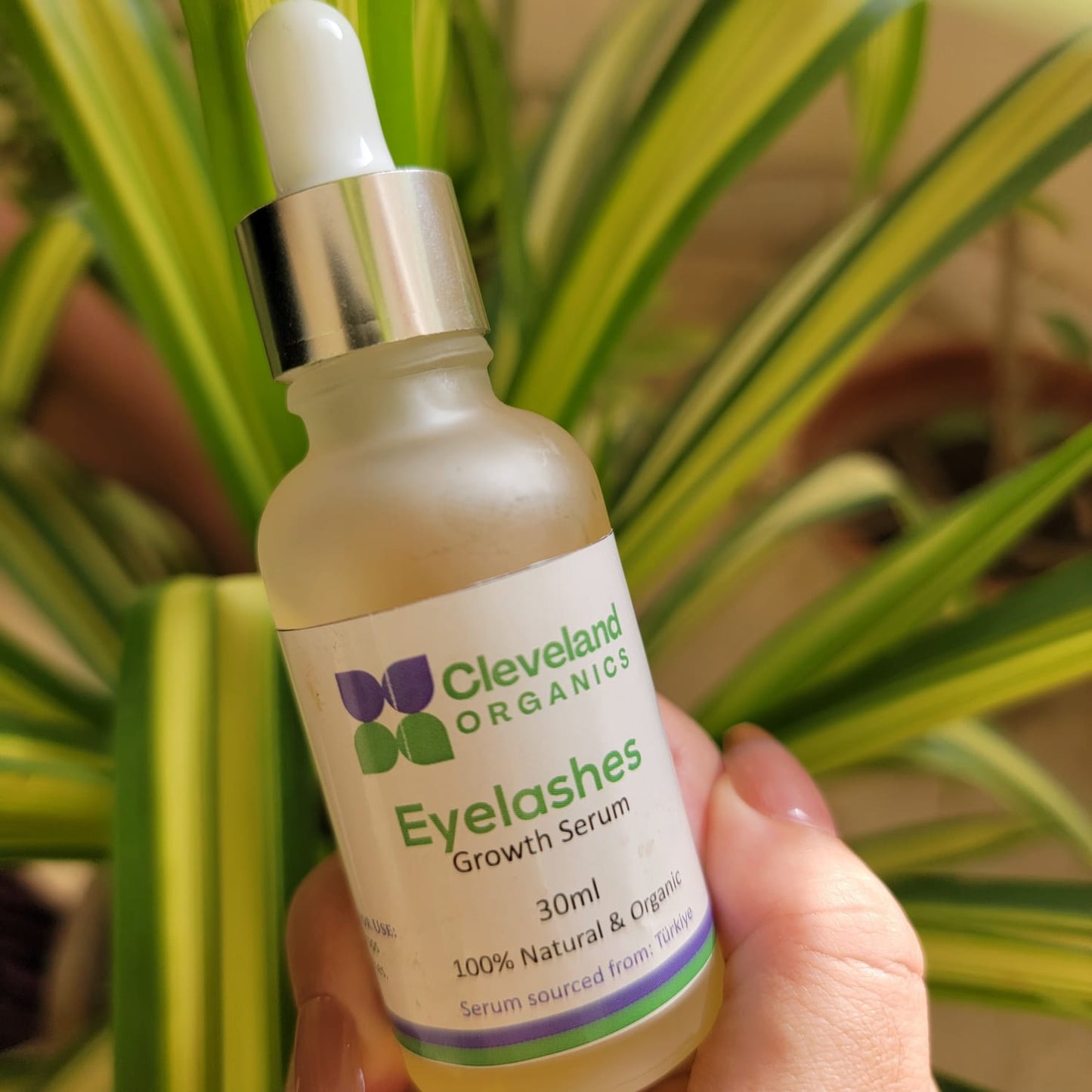 Eyelash Growth Serum